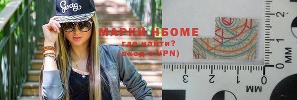 ПСИЛОЦИБИНОВЫЕ ГРИБЫ Арсеньев