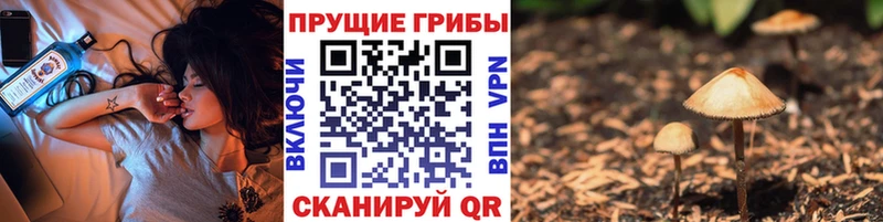 Галлюциногенные грибы GOLDEN TEACHER Рыбное